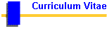 Curriculum Vitae