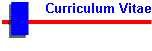 Curriculum Vitae